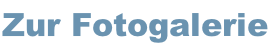 Zur Fotogalerie
